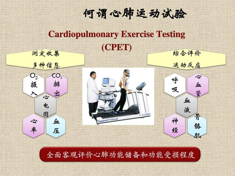 2018年《CPET的临床应用》PPT课件-文档资料.ppt_第2页