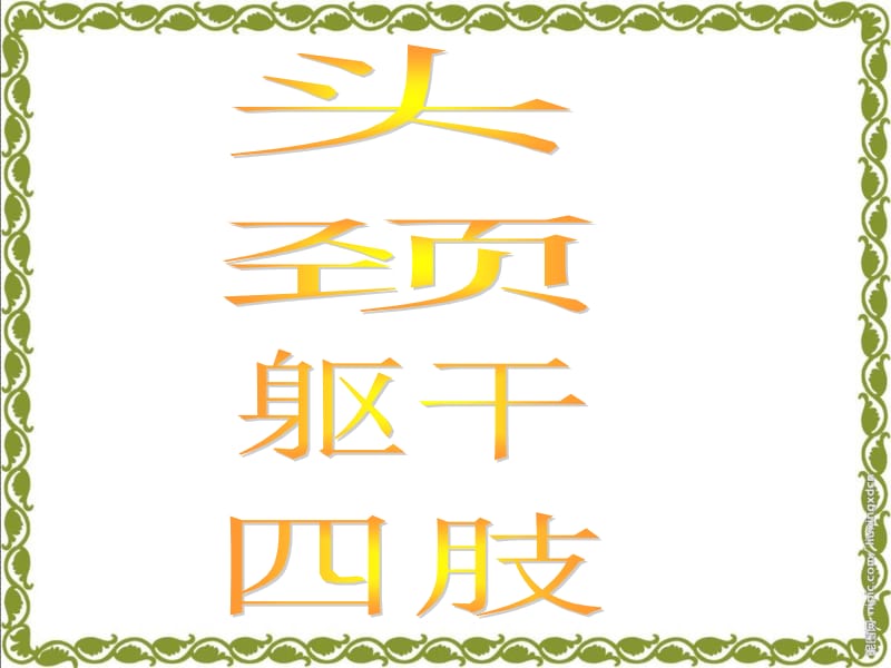 2018年三年级科学下册课件-骨骼 -青岛版-文档资料.ppt_第1页