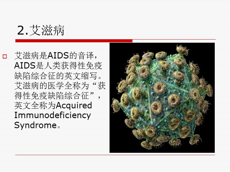 2018年【大学课件】艾滋病及其预防-文档资料.ppt_第2页