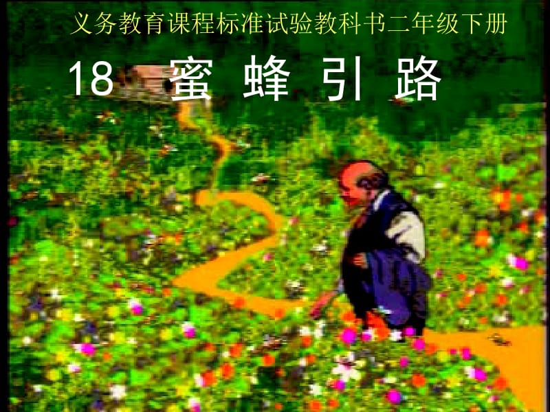 《蜜蜂引路》课件2.ppt_第1页