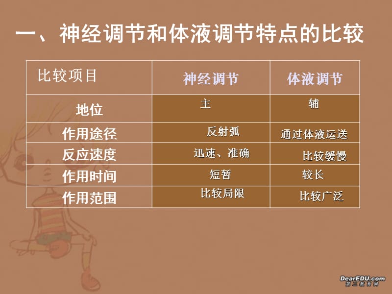 23神经调节与激素调节的关系-PPT文档.ppt_第2页