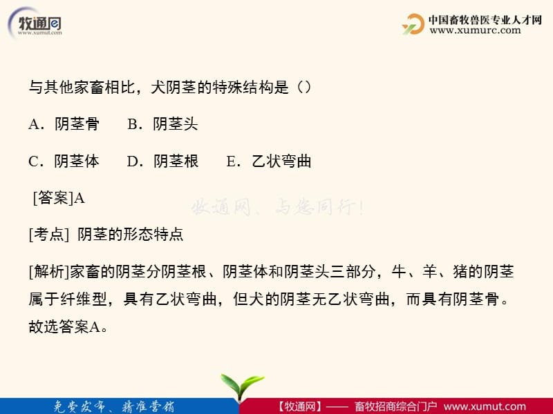 2018年犬猫疾病专题-文档资料.ppt_第1页