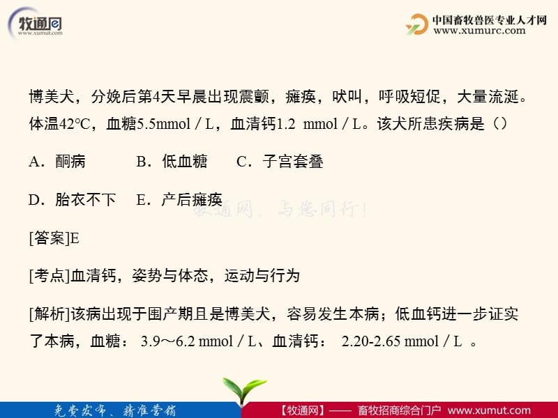 2018年犬猫疾病专题-文档资料.ppt_第3页