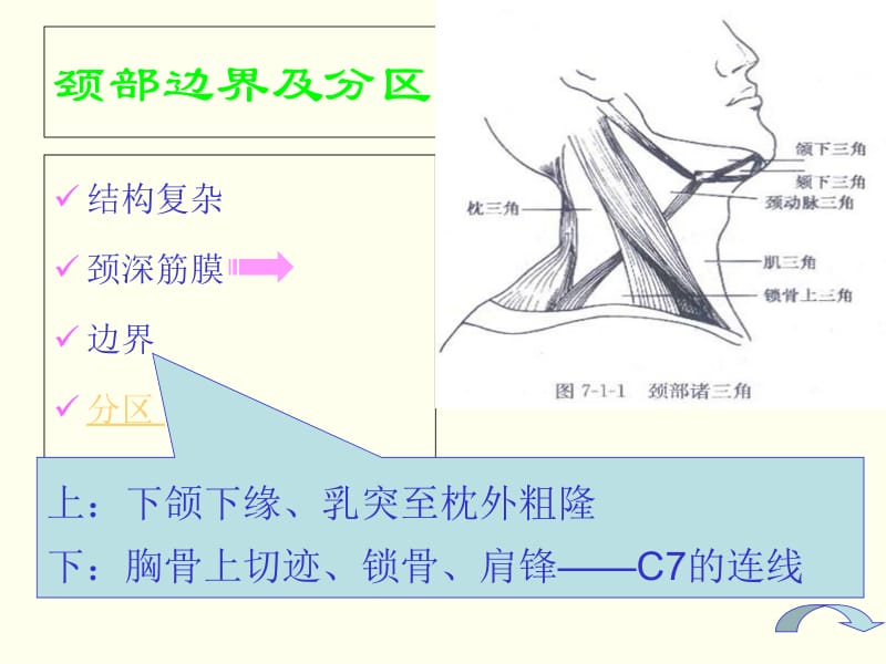 《颈部包块》PPT课件-文档资料.ppt_第1页