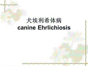 2018年犬猫细菌性染病-文档资料.ppt