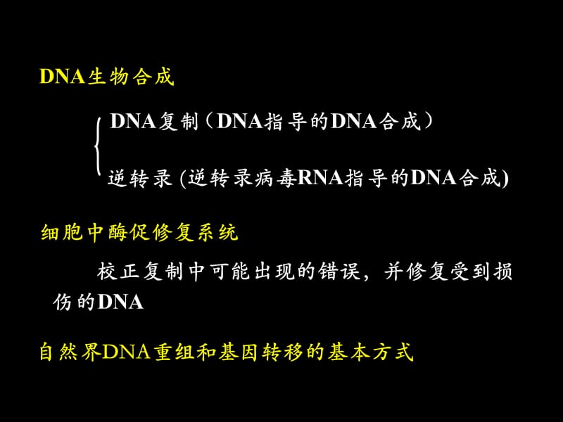 DNA的生物合成和损伤修复-PPT文档.ppt_第1页