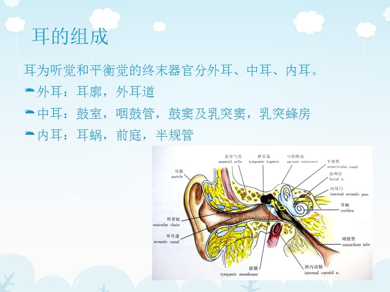 2018年医学影像-耳的影像解剖及常见疾病诊断-文档资料.ppt_第1页