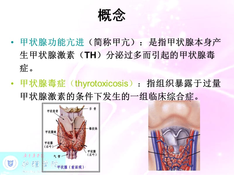 2018年内科护理学甲状腺功能亢进症病人护理-文档资料.ppt_第2页