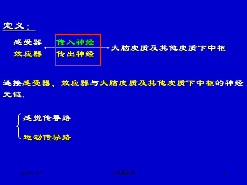 三章中枢神经的传导通路-文档资料.ppt_第1页