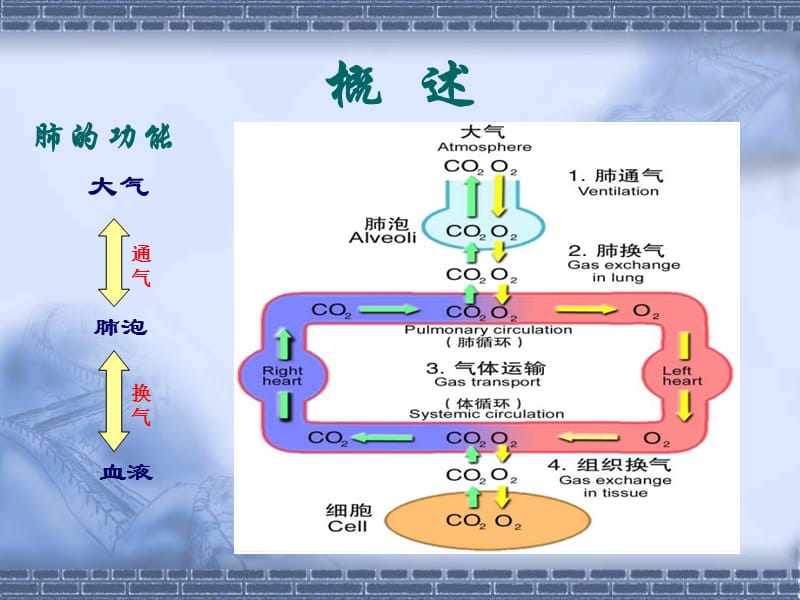 2018年呼吸衰竭护理丁兆艳-文档资料.ppt_第1页