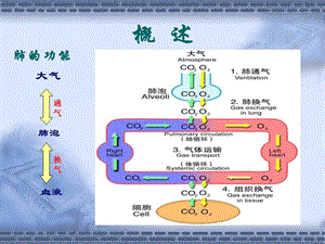 2018年呼吸衰竭护理丁兆艳-文档资料.ppt