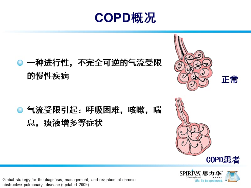 最新COPD治疗-从指南到临床实践-PPT文档.ppt_第3页