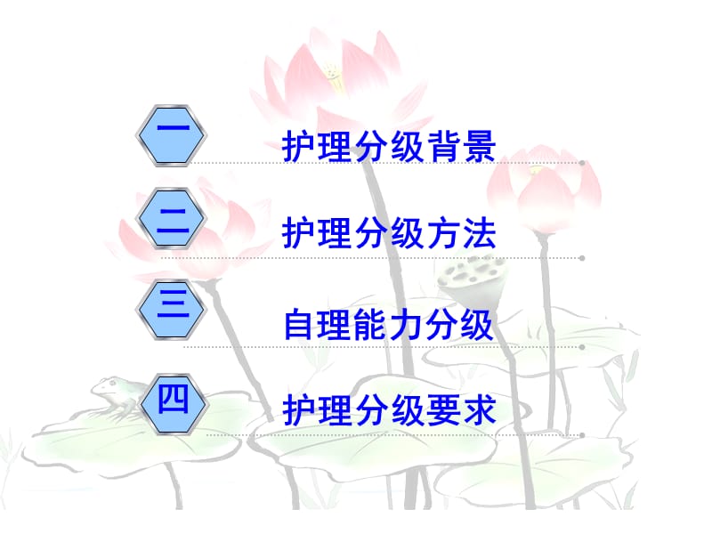 《护理分级》解读-文档资料.ppt_第2页