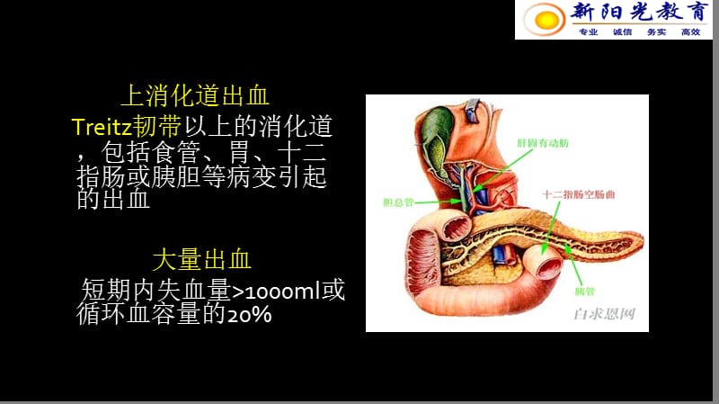 2018年10上化道出血变动-文档资料.ppt_第2页