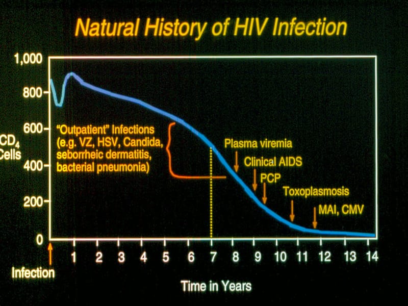 AIDS常见机会感染2-精选文档.ppt_第2页