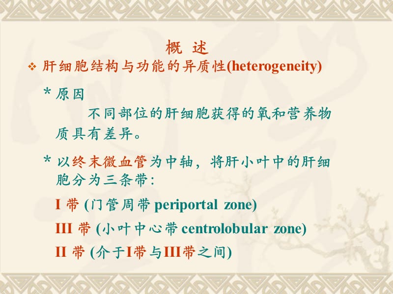 2018年生物化学肝生物化学-文档资料.ppt_第1页