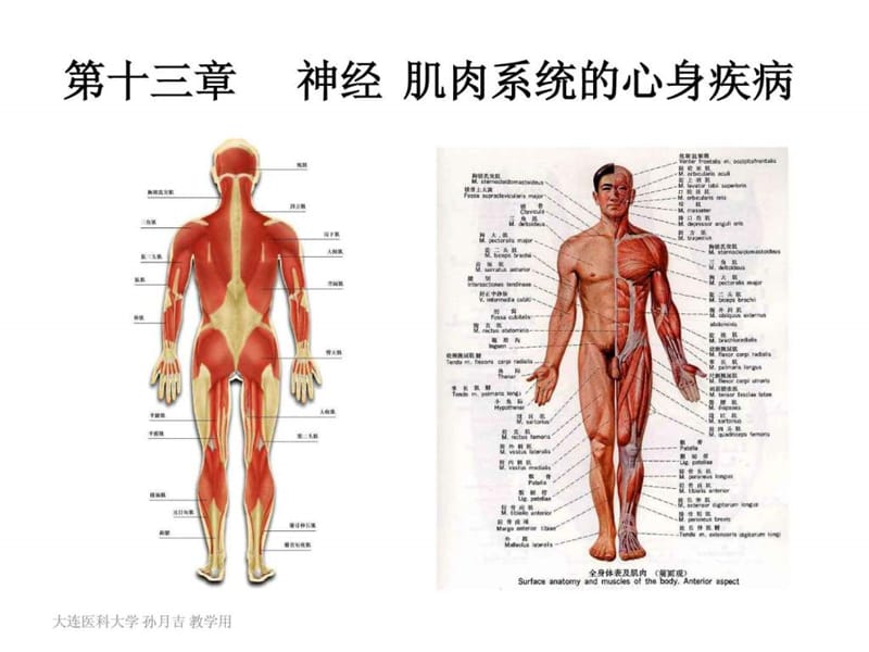 2018年心身疾病十三章(神经)-文档资料.ppt_第1页