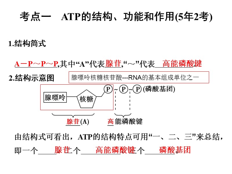 2017一轮复习与细胞呼吸有关的酶_政史地_高中教育_教育专区-PPT文档.ppt_第1页