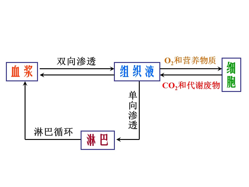 2018年人教版教学课件新人教版必修三《细胞生活的环境》PPT-文档资料.ppt_第3页