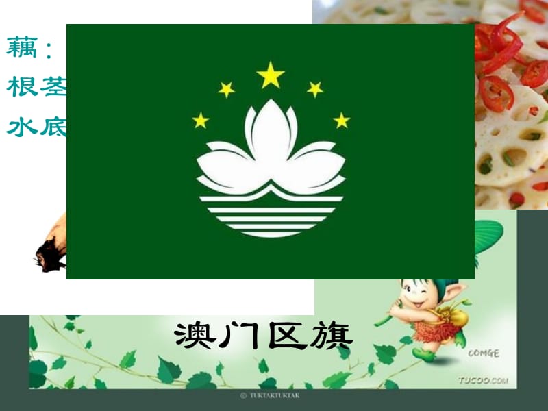 《莲叶青青》课件5.ppt_第2页