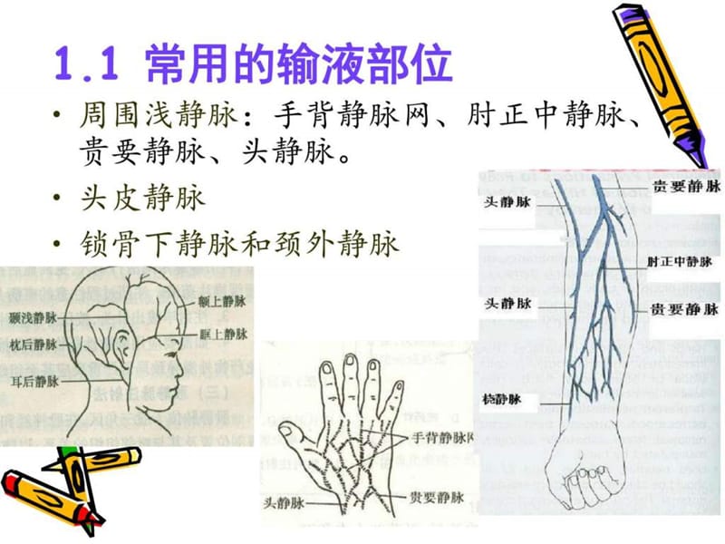 2018年《静脉输液的护理》PPT课件-文档资料.ppt_第2页