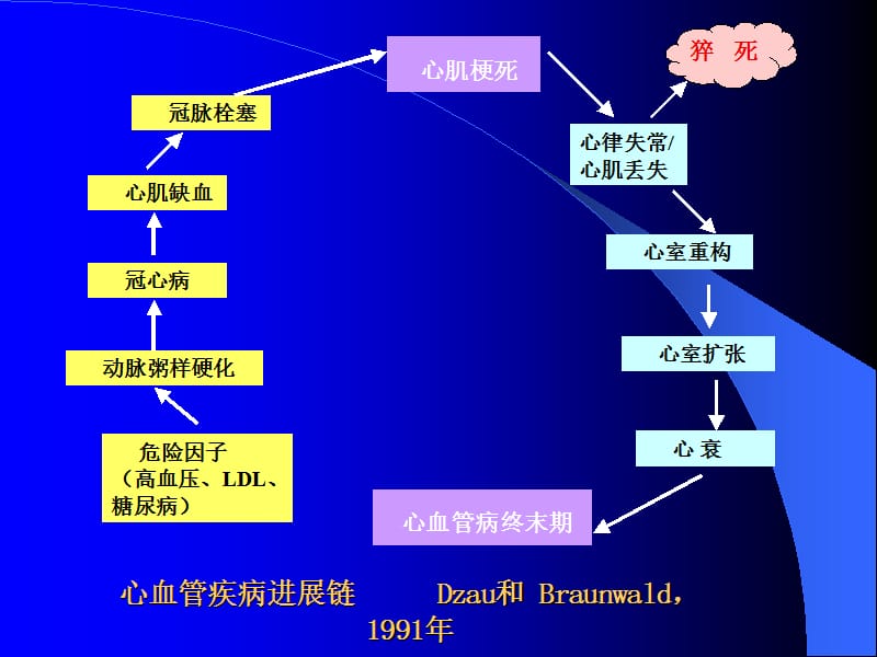 不同病因重症心力衰竭急诊救治对策-课件，幻灯，ppt-PPT文档.ppt_第3页