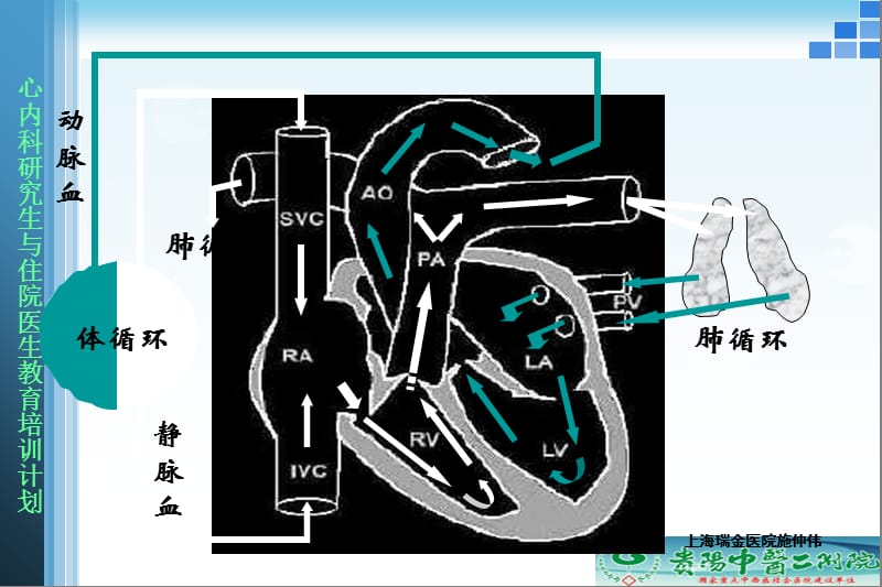 B-Blocker基础和临床-PPT文档.ppt_第1页