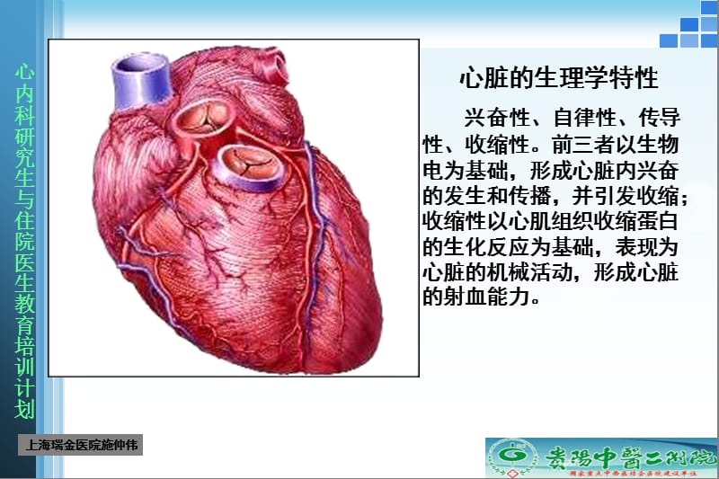 B-Blocker基础和临床-PPT文档.ppt_第2页