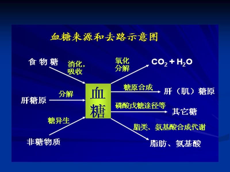 ppt课件-糖尿病饮食与营养-PPT文档.ppt_第3页