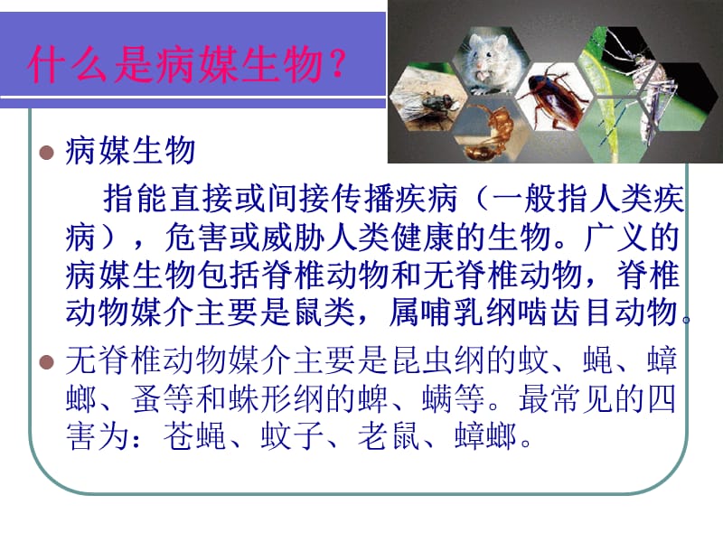 2018年病媒生物监测和防制-邳州市疾病预防控制中心-文档资料.ppt_第1页