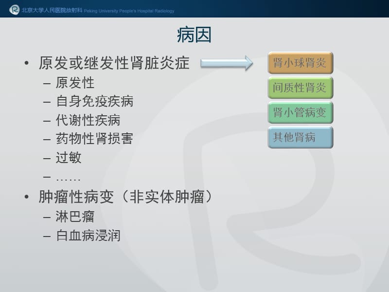 2018年双肾弥漫病变-文档资料.pptx_第1页