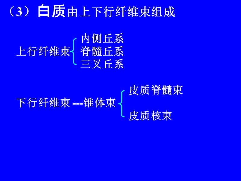 B、(2)脑干讲课课件-PPT文档.ppt_第1页