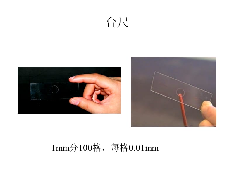 2018年生物学导论-实验二体外培养细胞的测量-文档资料.ppt_第3页