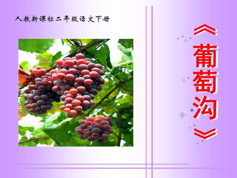 《葡萄沟》教学课件3.ppt_第1页