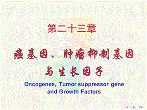 23癌基因、肿瘤抑制基因与生长因子-文档资料.ppt