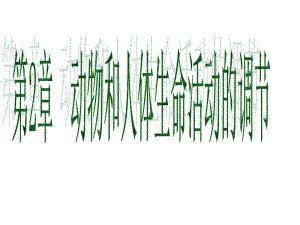 2018年人教版教学课件河北省鸡泽一中高二生物《通过神经系统的调节》课件-文档资料.ppt