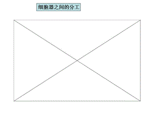 2018年人教版教学课件云南省弥勒县庆来中学2011-2012学年高一生物细胞器—系统内的分工合作(课件)-文档资料.ppt