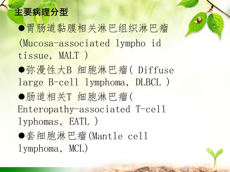 2018年原发性胃肠道淋巴瘤-文档资料.ppt_第2页