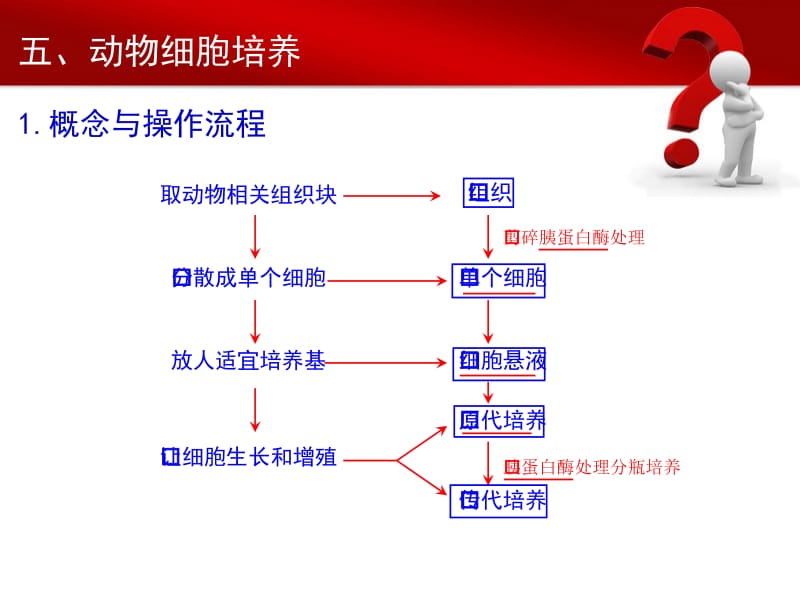 2018年专题2 物细胞工程-文档资料.ppt_第3页