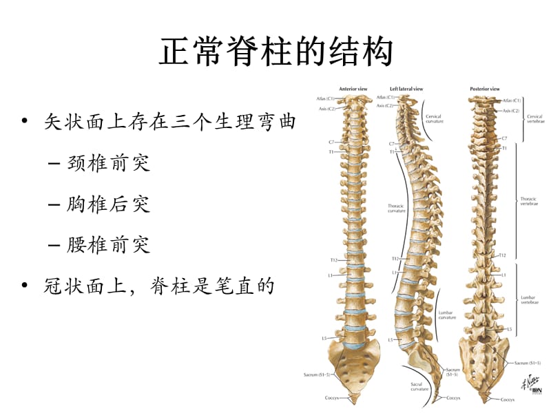 2018年《脊柱侧弯概述》-文档资料.ppt_第2页