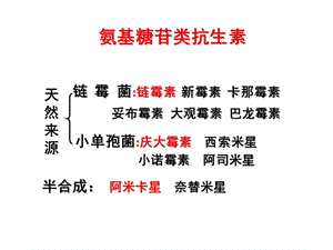 2018年第三十六章 大氨基苷类抗生素课件-文档资料.ppt