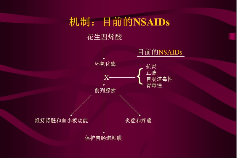 最新：NSAID非甾体类抗炎药-文档资料.ppt_第3页