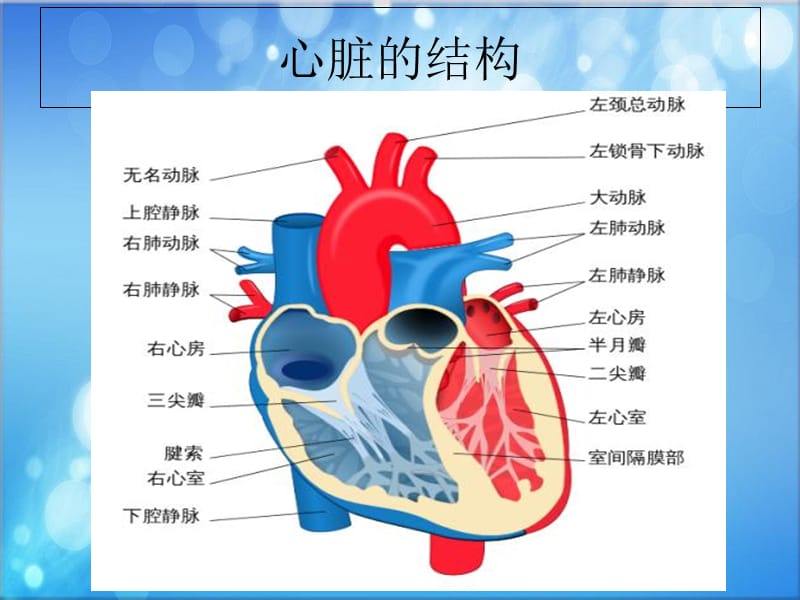 2018年冠脉旁路移植术后的护理ppt课件-文档资料.ppt_第1页