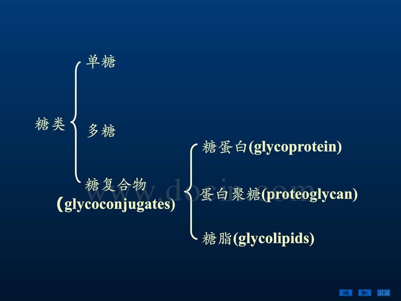 2018年生物化学PPT课件-第十九章糖蛋白、蛋白聚糖和细胞外基质-文档资料.ppt_第1页