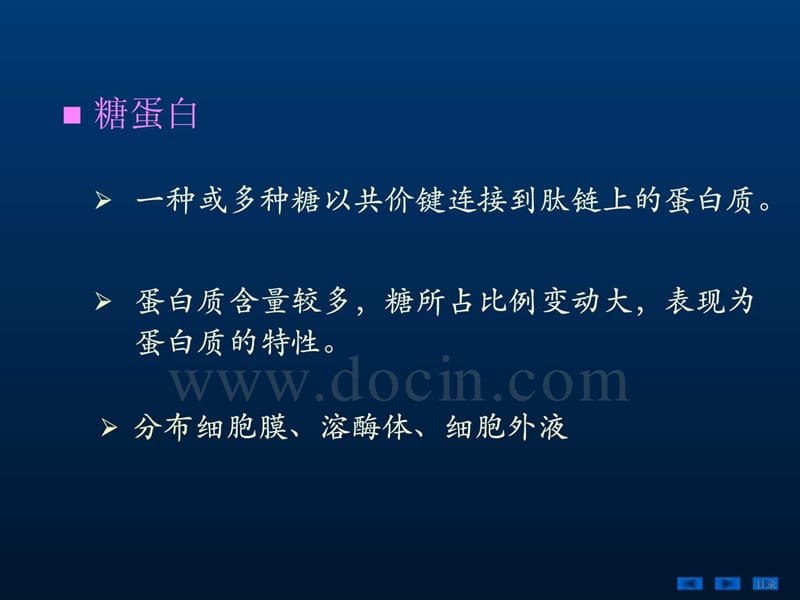 2018年生物化学PPT课件-第十九章糖蛋白、蛋白聚糖和细胞外基质-文档资料.ppt_第3页