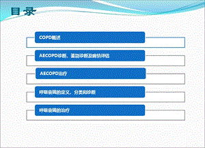 aecopd和呼吸衰竭的救治-PPT文档-精选文档.pptx