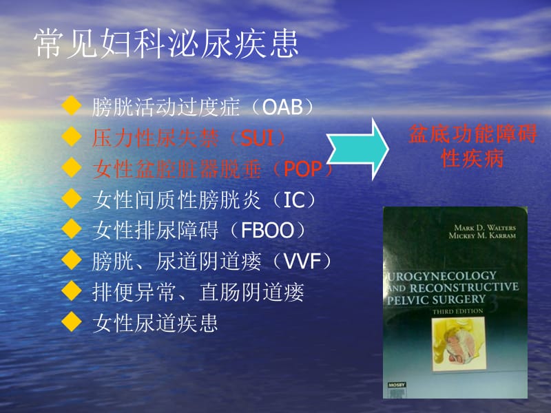 Prolift手术要点与技巧-PPT文档.ppt_第2页