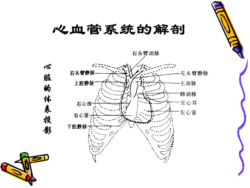 最新CVP临床意义-PPT文档.ppt_第3页