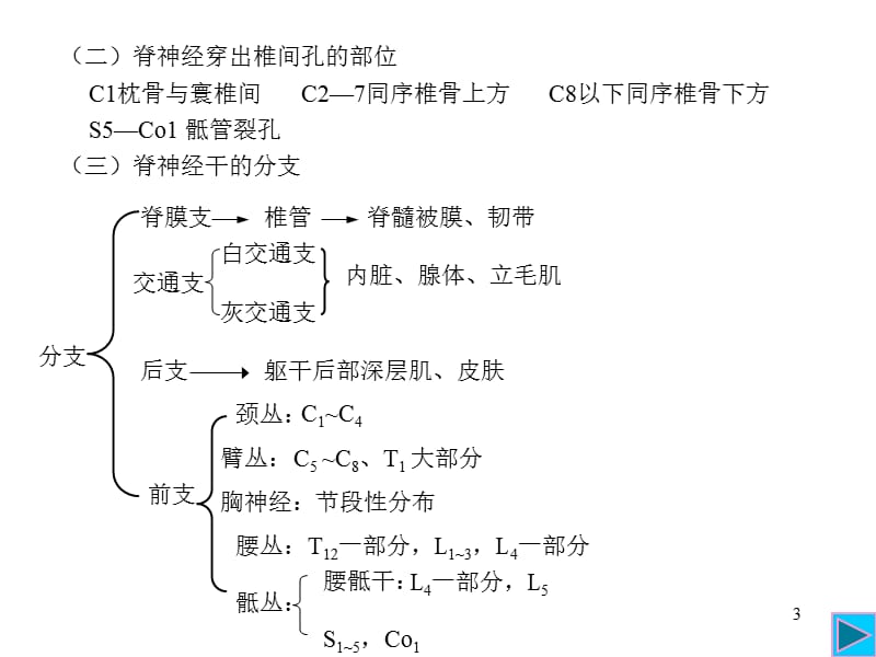 三章周围神经系统-PPT文档.ppt_第3页