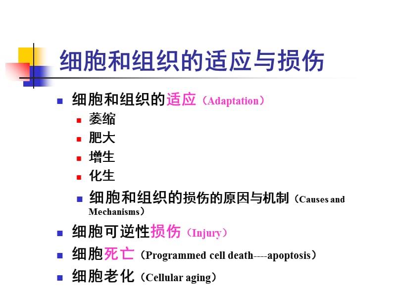 2018年病理学细胞和组织的适应与损伤ppt课件-文档资料.ppt_第1页